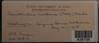 Image Associated With the Occurence